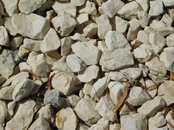 Rocks and stones in outdoor campaign — Stock Photo, Image