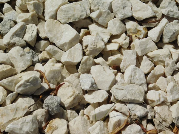 Rocks and stones in outdoor campaign — Stock Photo, Image