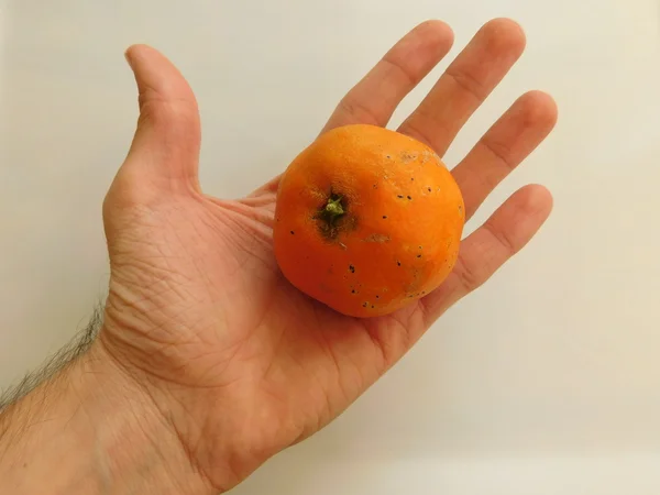 Owoce w ręku do jedzenia — Zdjęcie stockowe