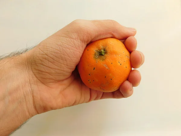 Fruta na mão para comer — Fotografia de Stock