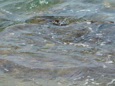 deniz ve plaj havuzu üzerinde dalgaların