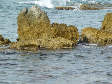 deniz ve plaj havuzu üzerinde dalgaların