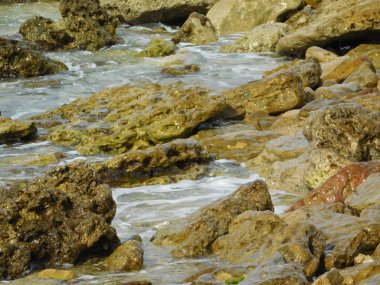 deniz ve plaj havuzu üzerinde dalgaların