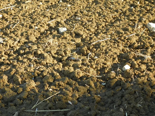 Soil and sand in outdoor campaign — Stock Photo, Image