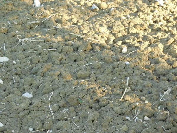 Earth and sand in outdoor campaign — Stock Photo, Image