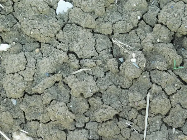 Terre et sable dans la campagne extérieure — Photo