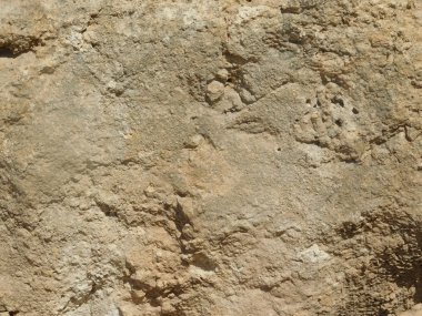 taşlar ve açık havada kırsal kesimde kayalar