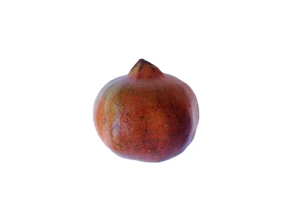 Granatapfel auf weißem Hintergrund — Stockfoto