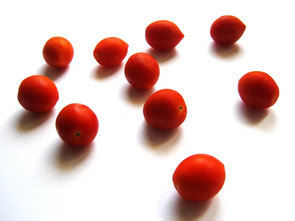 Tomaten te eten op een witte achtergrond — Stockfoto