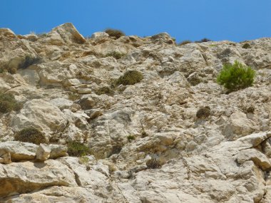 taşlar ve kayalar dışında kırsal kesimde