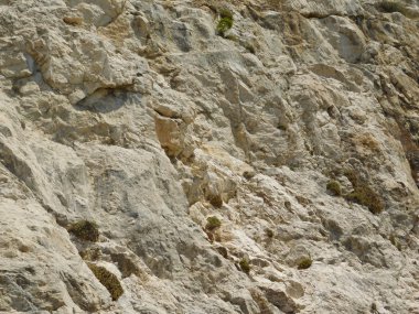 taşlar ve kayalar dışında kırsal kesimde