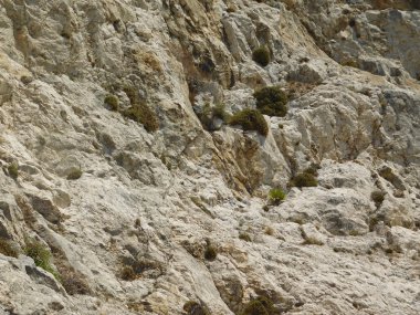 taşlar ve kayalar dışında kırsal kesimde