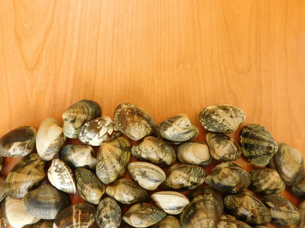 Clams to eat in the kitchen — Stock Photo, Image