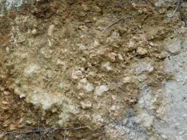 taşlar ve açık havada kırsal kesimde kayalar