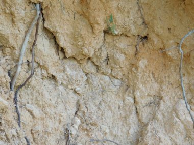 taşlar ve açık havada kırsal kesimde kayalar