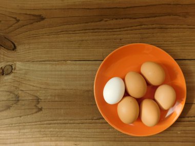 bir ahşap taban üzerinde yumurta yeme