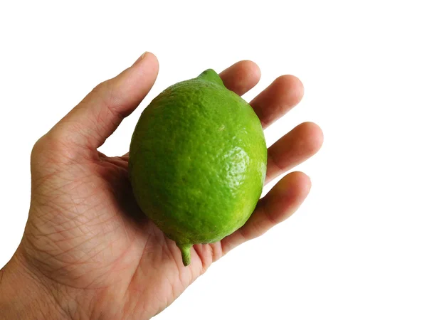 Limones para comer sobre fondo blanco —  Fotos de Stock