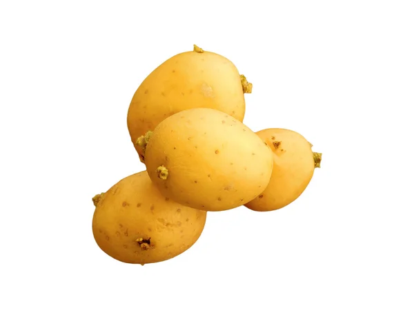 Potatis för att äta på en vit bakgrund — Stockfoto