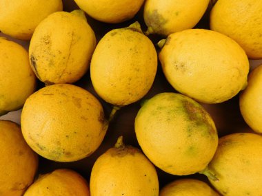 Ahşap taban limon yemek