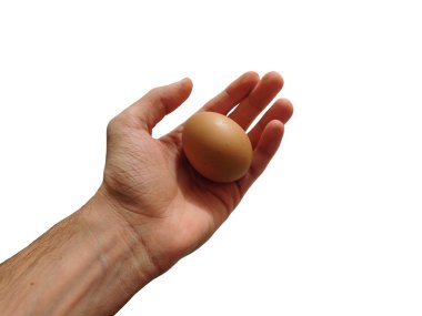 yumurta beyaz arka plan ile el
