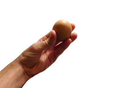yumurta beyaz arka plan ile el