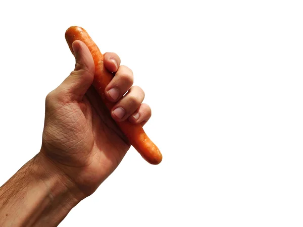 Mão com cenoura no fundo branco — Fotografia de Stock