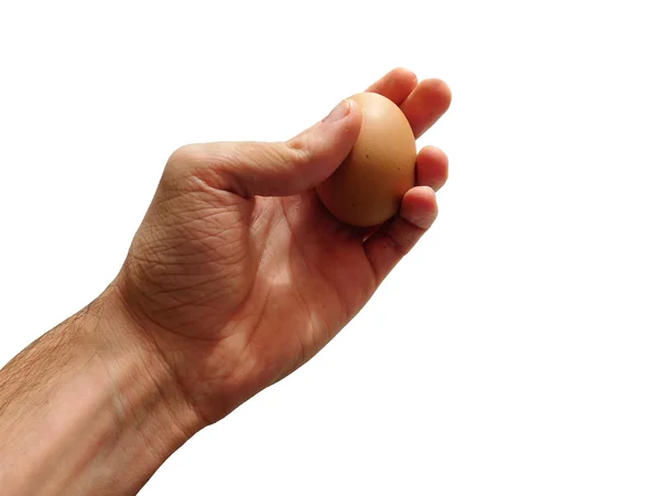 Ruka s vejcem na bílém pozadí — Stock fotografie