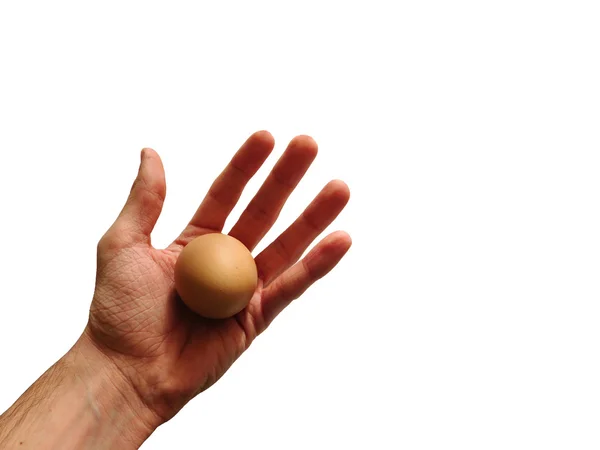 Ruka s vejcem na bílém pozadí — Stock fotografie