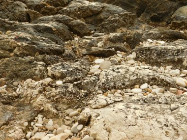 resif ve açık havada denizde kayalar