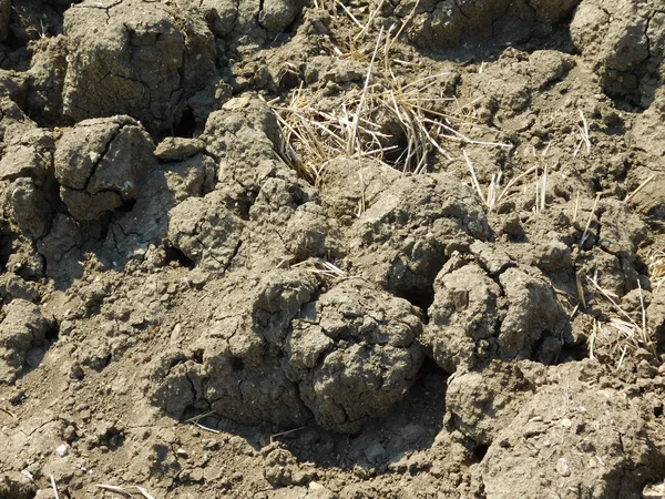 Buiten terrein op het platteland — Stockfoto