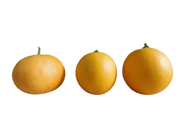 Apelsiner att äta på en vit bakgrund — Stockfoto