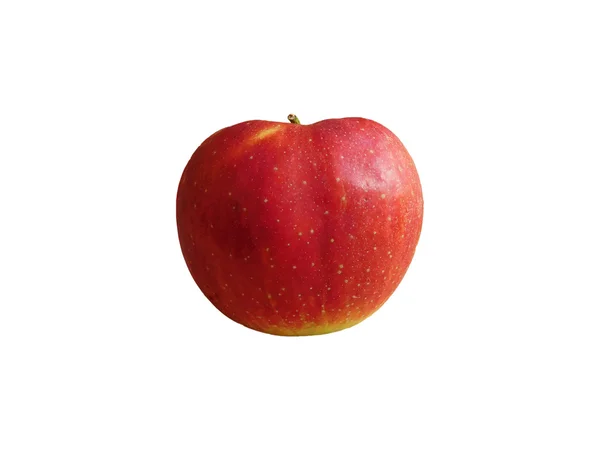 Almát enni a fehér háttér — Stock Fotó