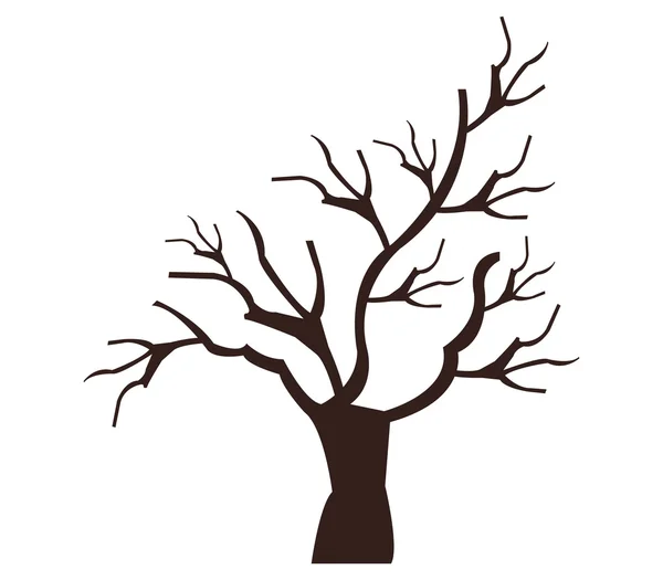 Dry tree on white background — Stock Photo, Image