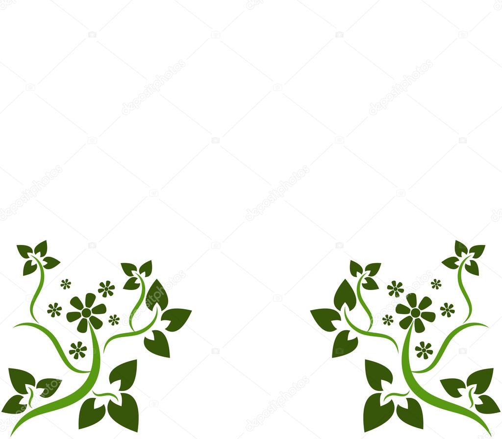 floral decorations on white background