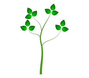 Beyaz arka plan üzerinde yaprakları ile resimli ağaç