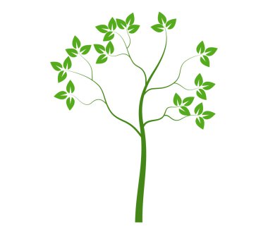 Beyaz arka plan üzerinde yaprakları ile resimli ağaç