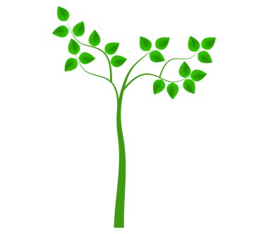 Beyaz arka plan üzerinde yaprakları ile resimli ağaç