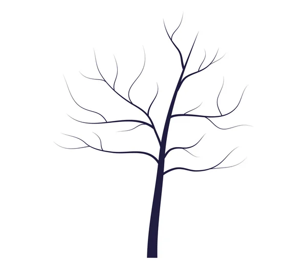 Сухое дерево на белом фоне — стоковое фото