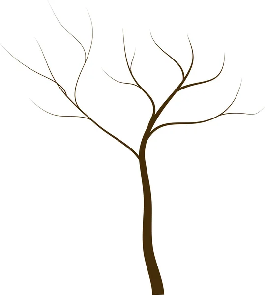 Trockener Baum auf weißem Hintergrund — Stockfoto