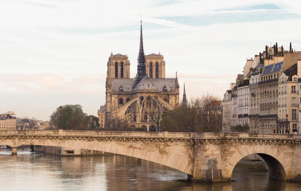 Katolik Notre Dame Katedrali, Paris, Fransa.
