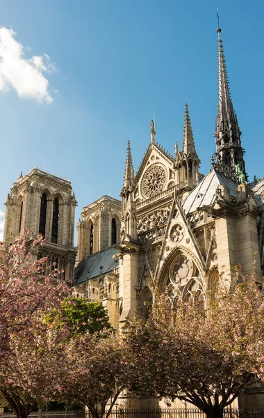 Katolická katedrála Notre Dame. — Stock fotografie