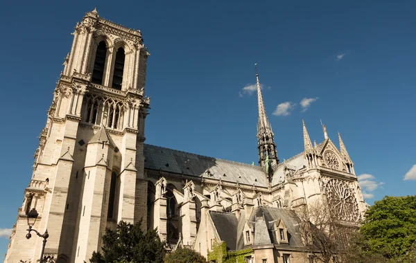 Katolická katedrála Notre Dame. — Stock fotografie