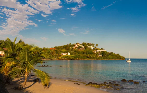 Карибский пляж, Мартиника . — стоковое фото
