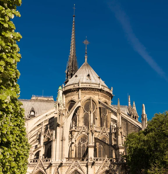 La cathédrale catholique Notre-Dame . — Photo