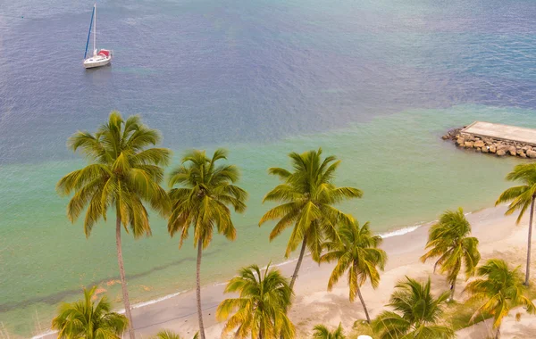 La spiaggia dei caraibi, isola della Martinica . — Foto Stock