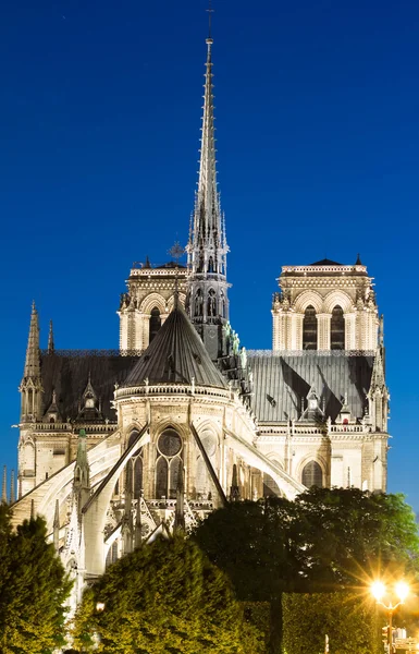 Katedrála Notre Dame v noci, Paříž, Francie. — Stock fotografie