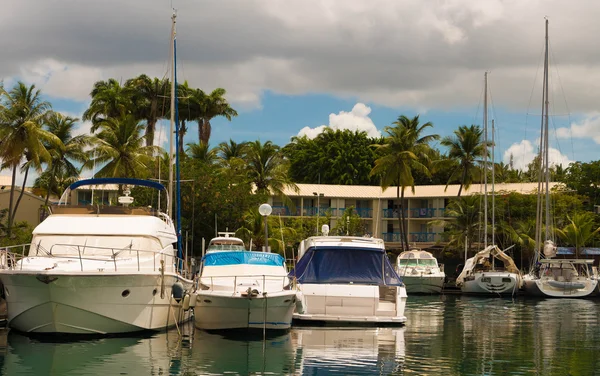The sailboats anchored in marina , Martinique island. Stock Picture