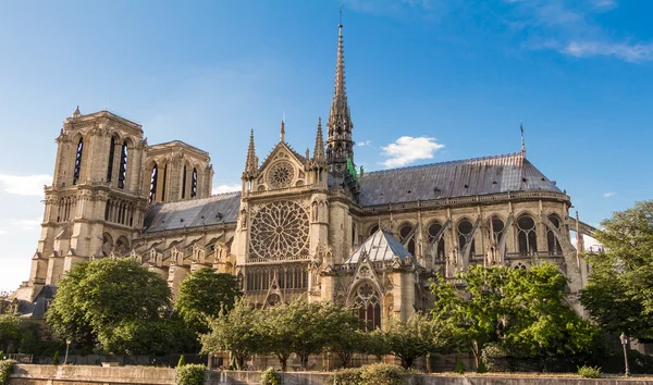 La catedral de Notre Dame, París, Francia. — Foto de Stock