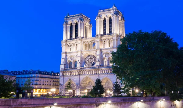 Notre Dame cathedra v noci, Paříž, Francie. — Stock fotografie