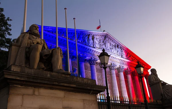 프랑스 국회 프랑스 나의 색깔로 라이트 업 — 스톡 사진